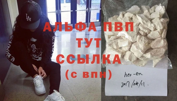 первитин Новодвинск