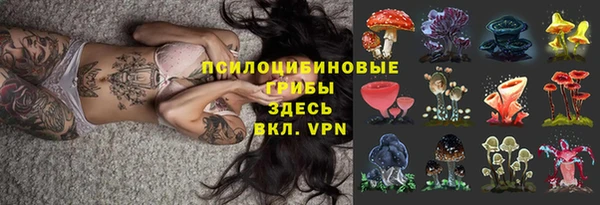 кокс Алексин
