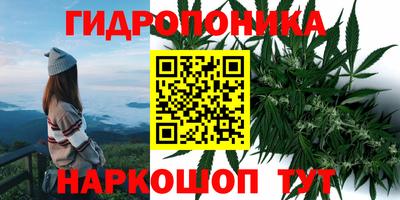 apvp Гусев