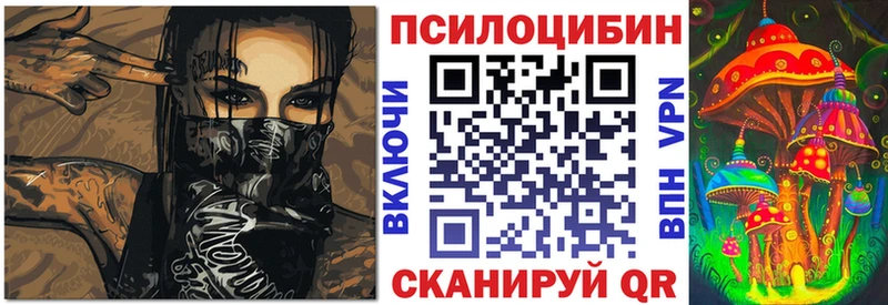 купить закладку Нижний Новгород мориарти как зайти Галлюциногенные грибы Psilocybine cubensis